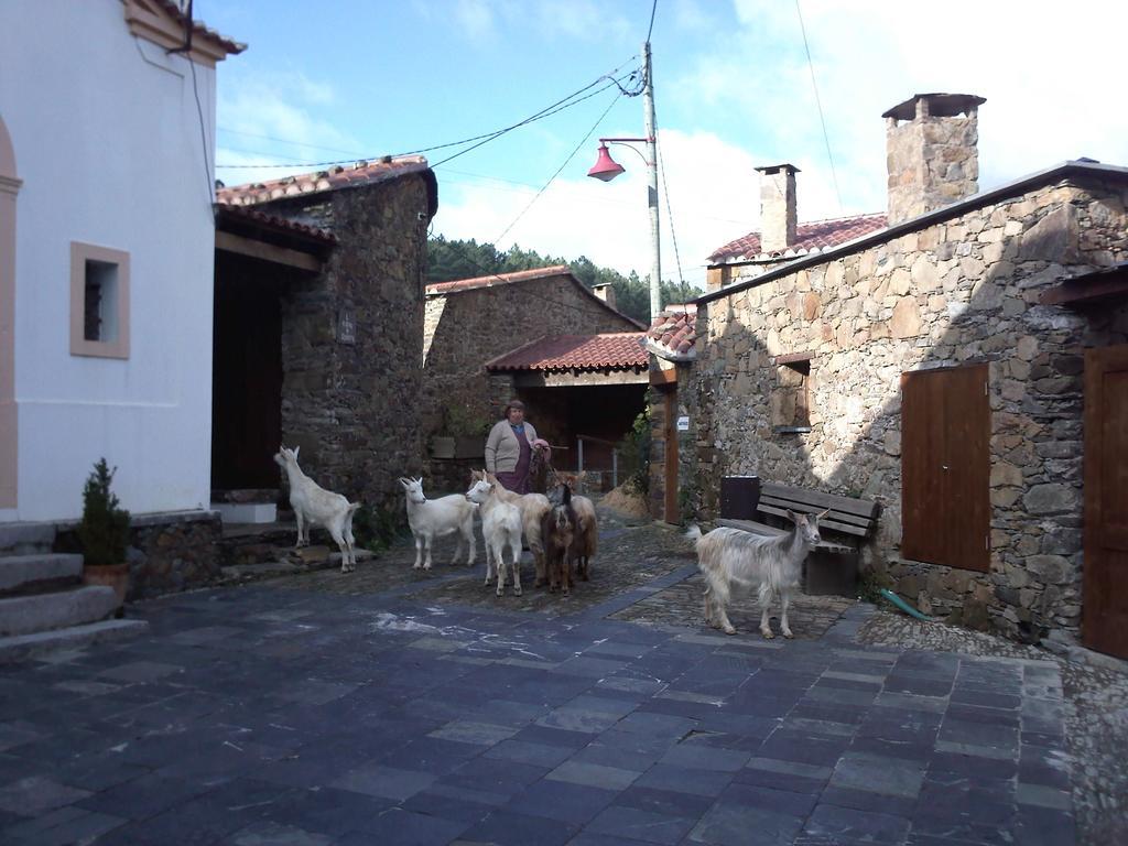 Casinha Do Mexico Villa Gondramaz Luaran gambar